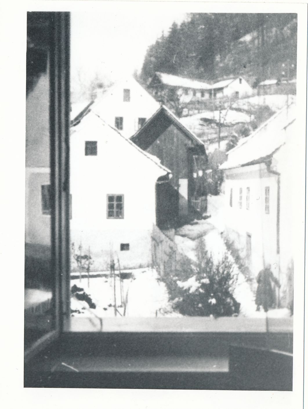eika image